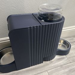 Pet Food And Water Dispenser
