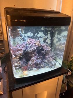 BioCube 16 Gallon  | Lid & Stand Included (No Fish)