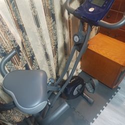 Leike exercise X bike