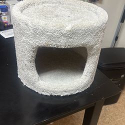 Cat Cave