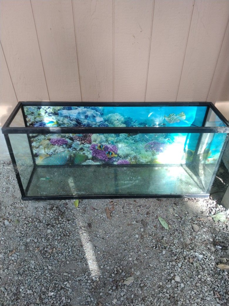 Fish Tank