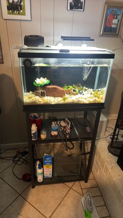 Fish tank
