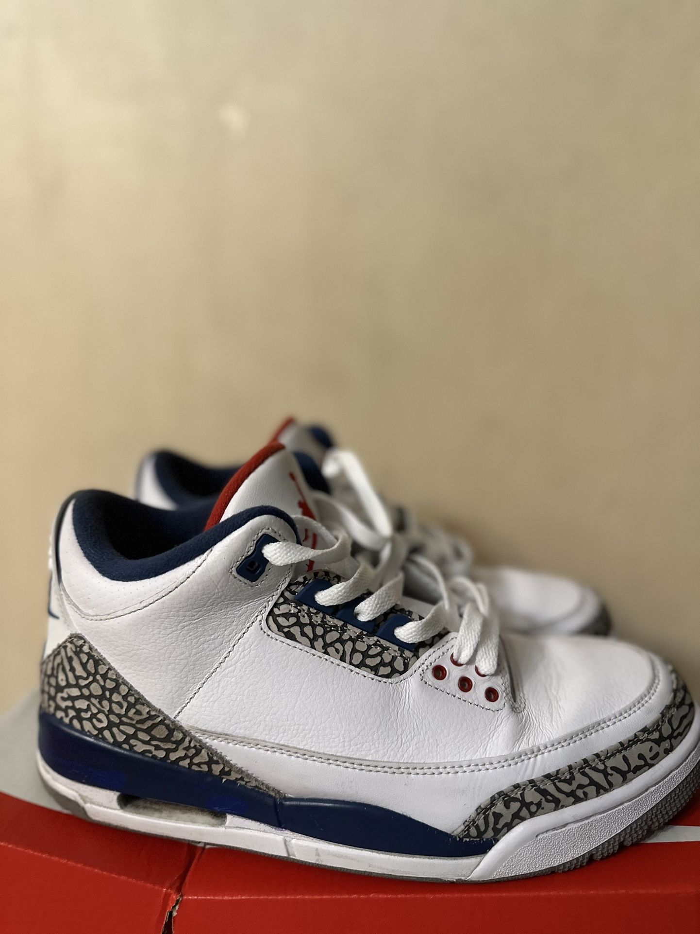 Nike Air Jordan Retro 3 True Blue Size 10