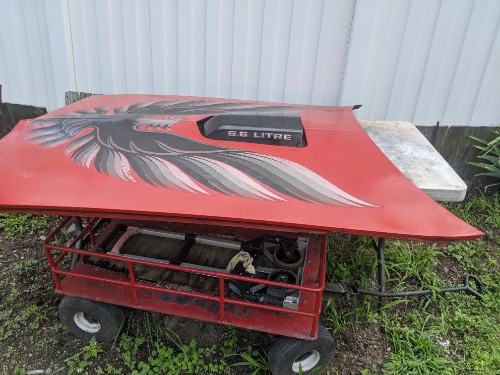 77-81 Trans Am Hood / Air Cleaner