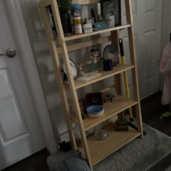 Ladder Look  Book Shelf 
