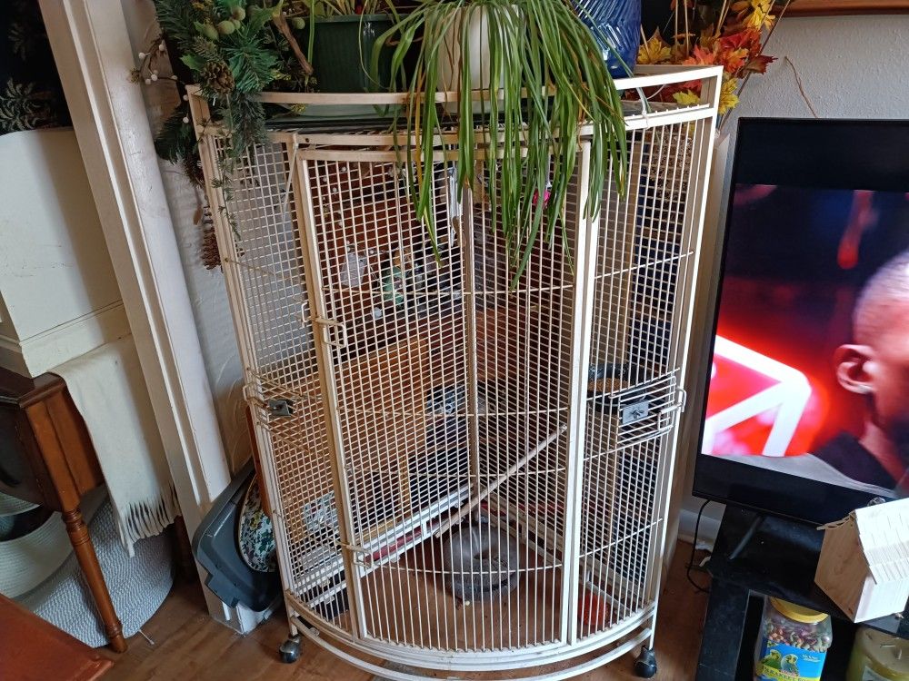 Bird Cage