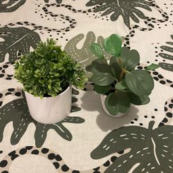 Fake plants 