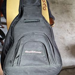 Road Runner Guitar Case