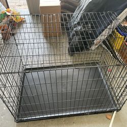 iCrate home training system for dogs.  