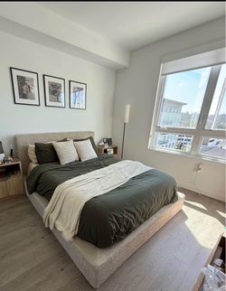 SoftFrame Designs Queen Bed Set with Mattress and Box Spring