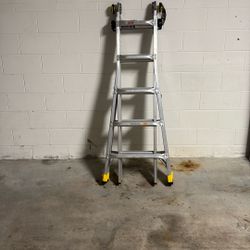 New Gorilla Ladder 