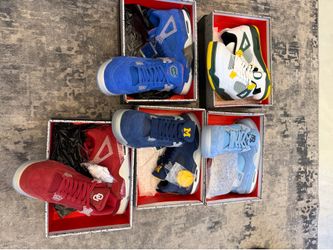 Nike Jordan 4 player edition