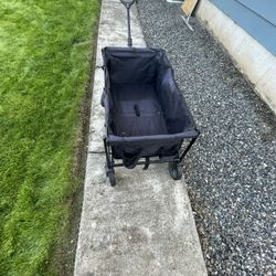 Fold little buggy