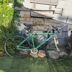 Small Fixie 46cm Frame Fixie Road Bike 