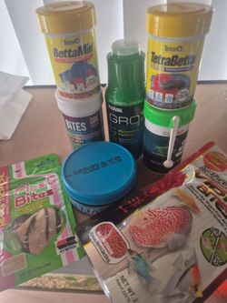 Fish food