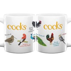 Sarah Edmonds Cups 