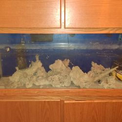 Saltwater Fish Tank - 55 Gallon - Oak Stand & Hood 