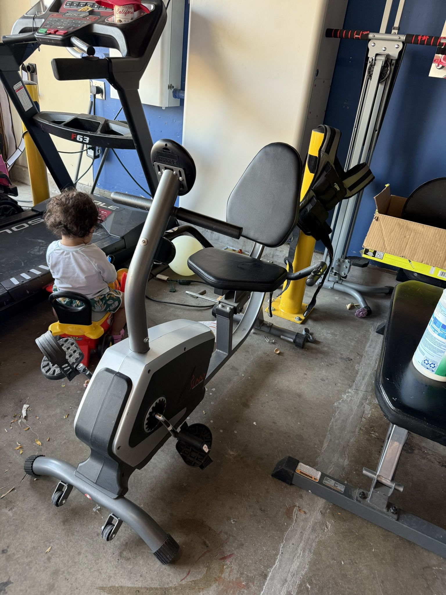 Sunny Recumbent Exercise Bike