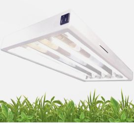 T5 Energy Efficient Grow Lights (See pricing in description)