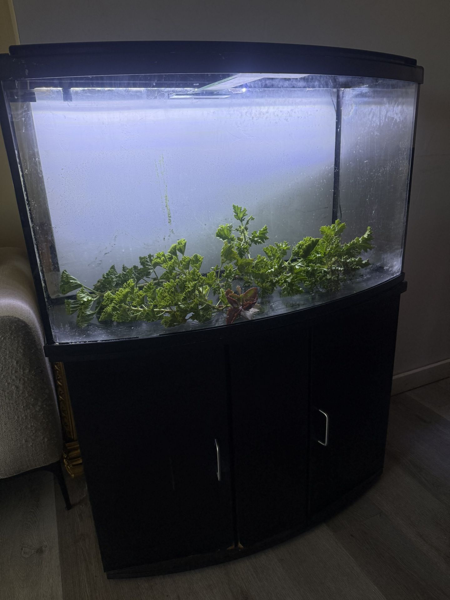 Beautiful Fresh Water Aquarium / Fish Tank 40 Gallons Includes Stand And Lights