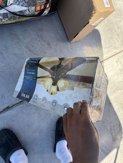 Ceiling Fan