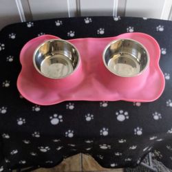 large pink double bowl pet feeder
