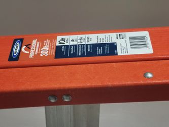 Werner 10ft Ladder