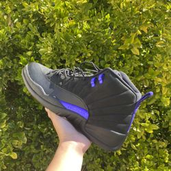Jordan 12 Dark Concord Size 13 Tried On 