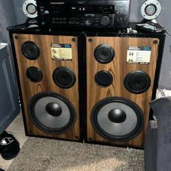 2 Bocinas Y Un Recividor SONY 