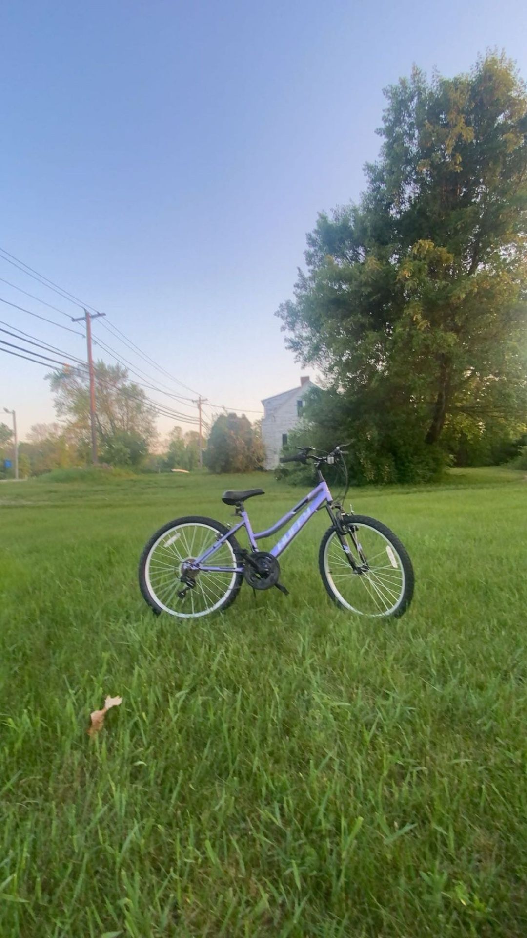 Purple mountain bike