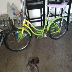 VINTAGE ALL PRO BICYCLE For SALE 