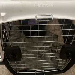 Petmate Medium Dog Kennel/carrier