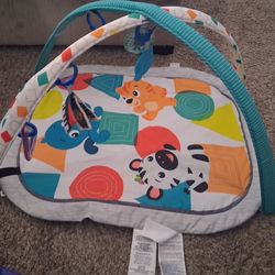 Baby Einstein  floor play matt