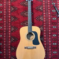 Washburn D-12N Acoustic Guitar