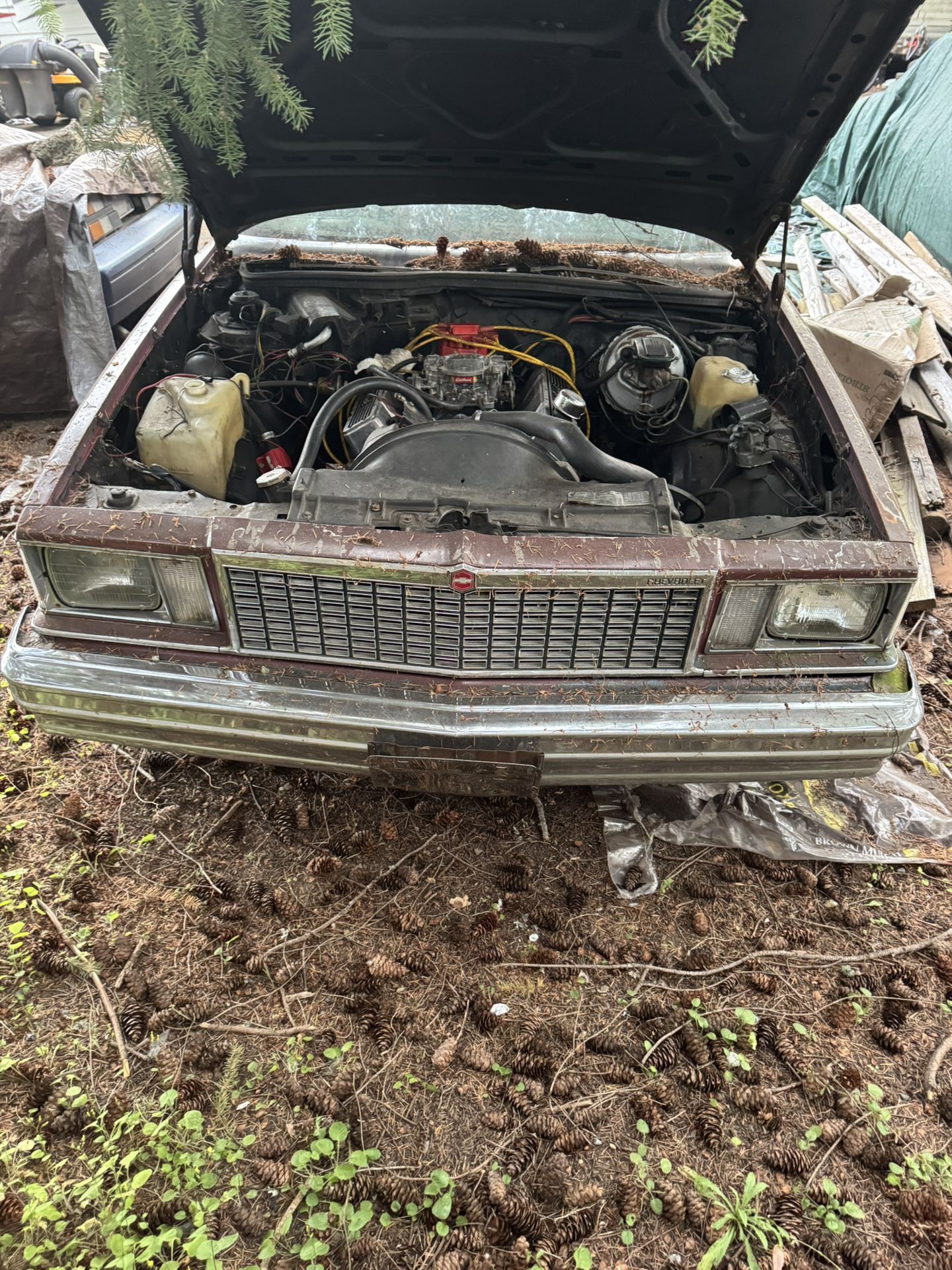 1978 Chevrolet Malibu