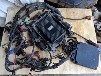 Yamaha wiring harness