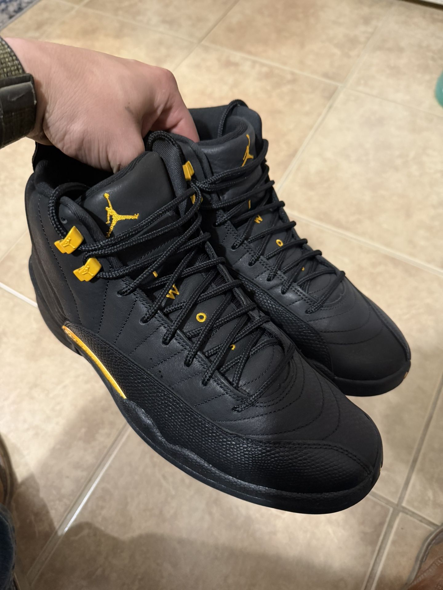 Jordan 12