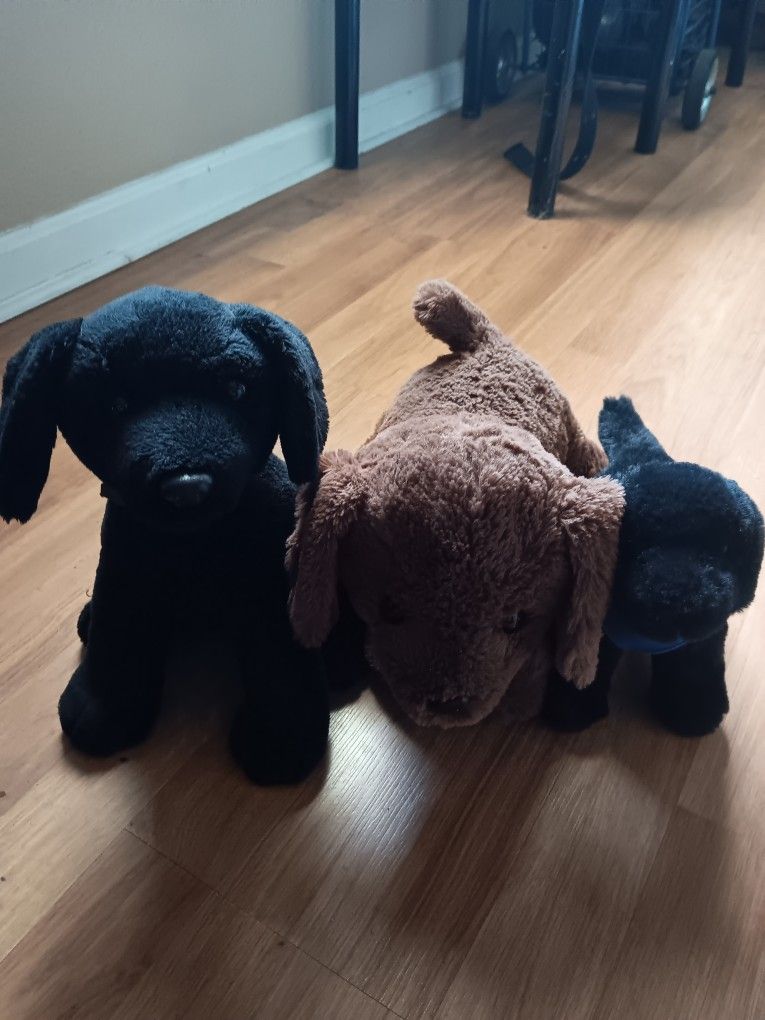 VARIETY STUFF ANIMALS. (NEED TO BE GONE)