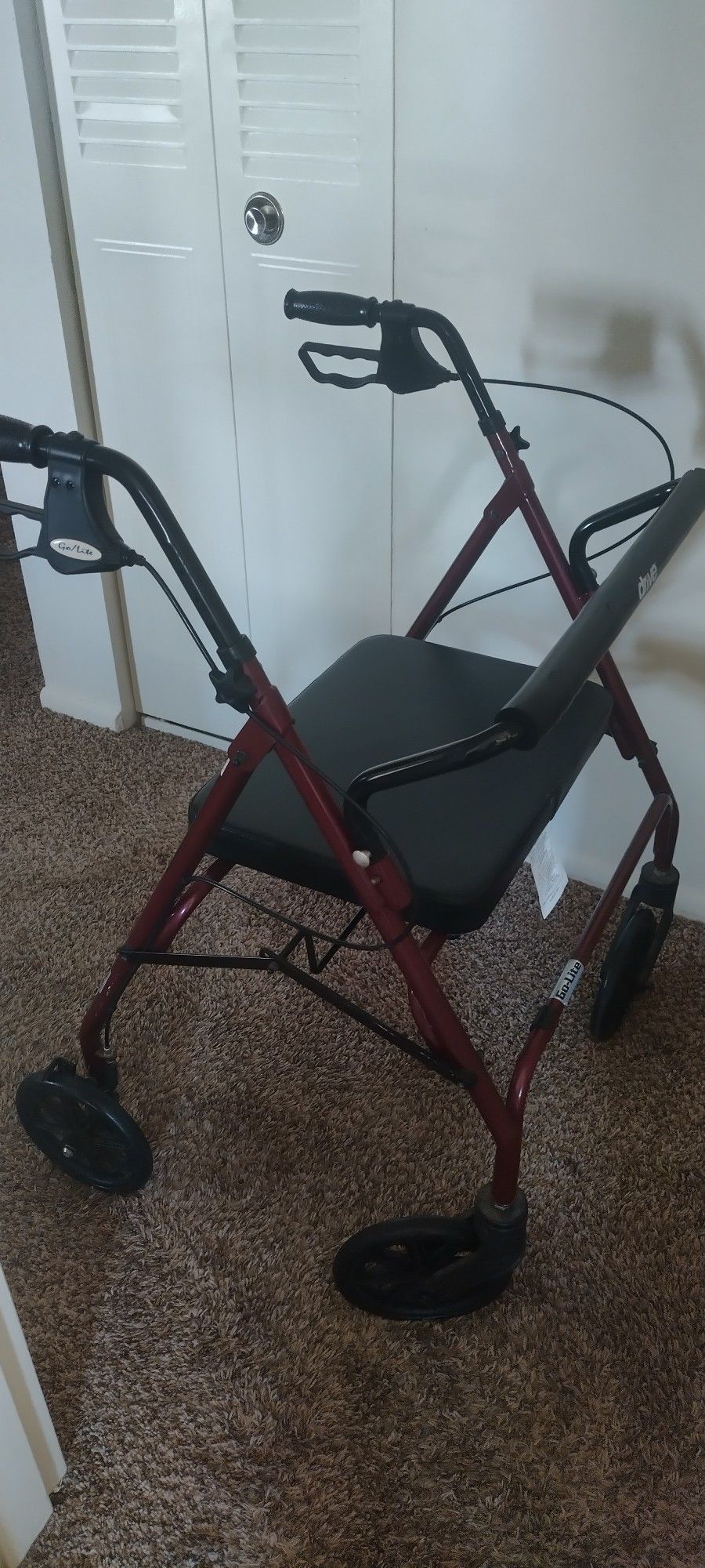 Seated Walker 
