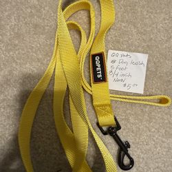 Dog Leash