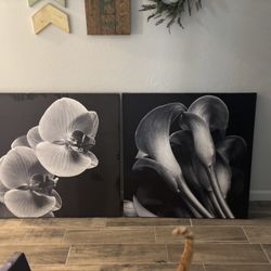 Black And White Floral Prints 