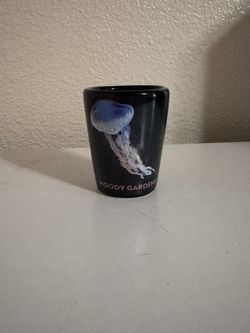 Moody Gardens Shot Glass