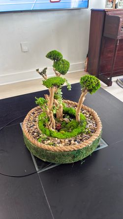 Center piece table Artificial  moss preserved  paintings