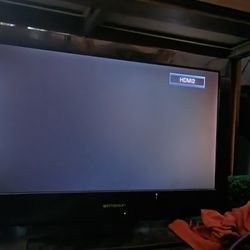 Emerson's 19" Flat Screen TV