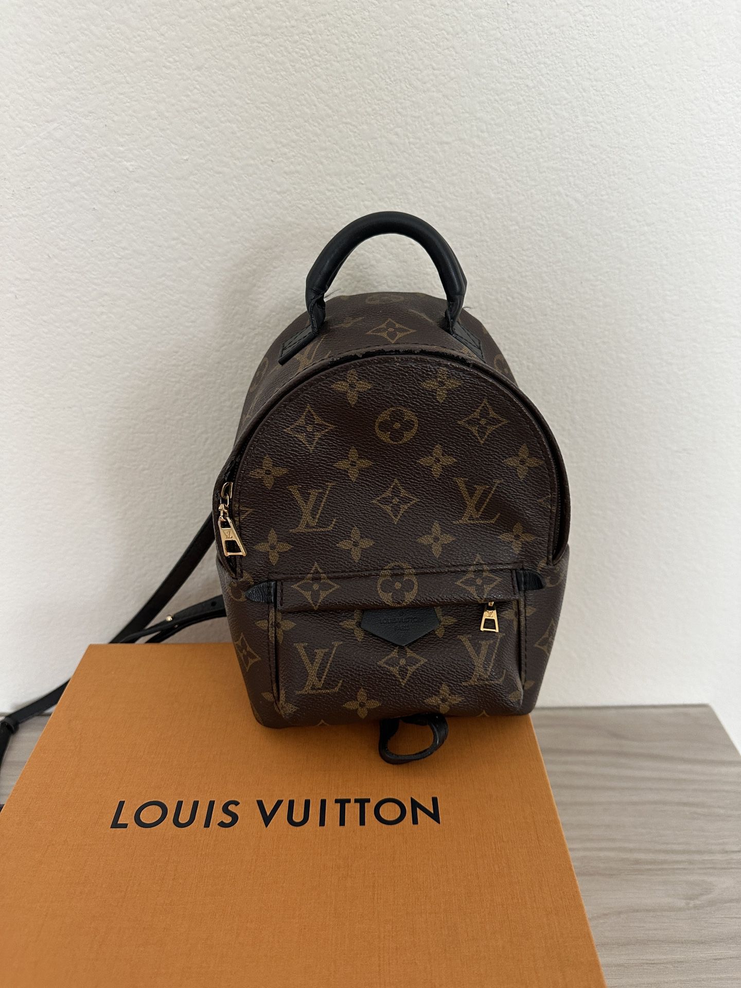Louis Vuitton Palm Springs Backpack Authentic Damaged