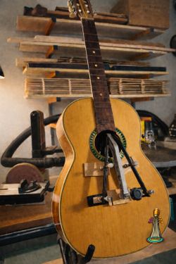 Luthier: All Repairs And Setup.