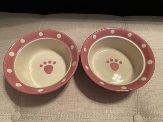 Cat Bowls