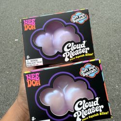 Cloud Pleasers Needoh