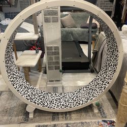 One Fast Cat Exercise Wheel. 