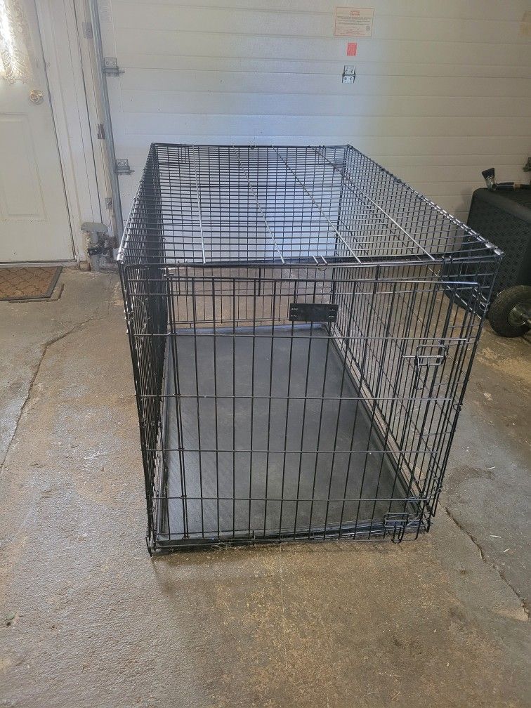 Dog Cage